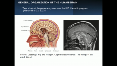 Structural learning by the brain - Part 1