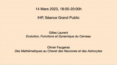 Des mathématiques pour mieux comprendre notre cerveau : Des mathématiques au chevet des neurones et des astrocytes