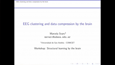 EEG clustering and data compression by the brain