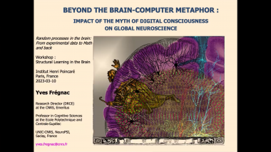 Beyond the Metaphor between the digital Computer and the biological brain: the myth of artificial consciousness