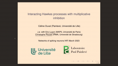 Interacting Hawkes processes with multiplicative inhibition