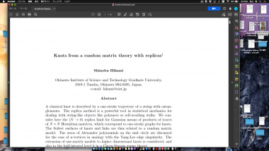 Knot, matrix and tensor models...melon or meron?