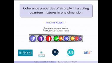 Coherence properties of strongly interacting quantum mixtures in one dimension
