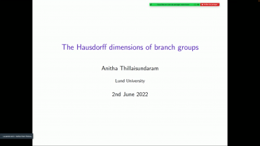 The Hausdorff dimensions of branch groups