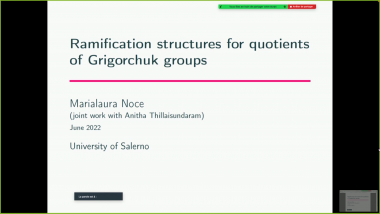 Ramification structures for quotients of the Grigorchuk groups