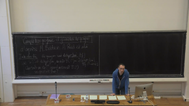 [1221] Géométrie des groupes et complétion profinie