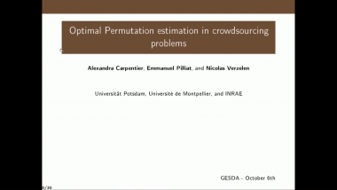 Optimal Permutation estimation in crowdsourcing problems