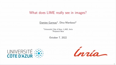 What does LIME really see in images?