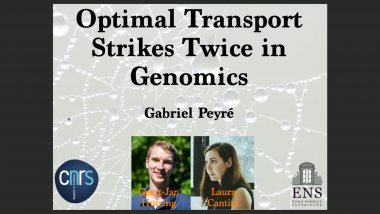 Unbalanced Optimal Transport across Metric Measured Spaces