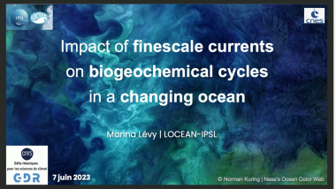 Impact of finescale currents on biogeochemical cycles in a changing ocean