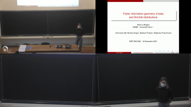 Fisher information geometry of beta and Dirichlet distributions