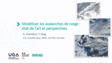 Modéliser les avalanches de neige : état de l'art et perspectives