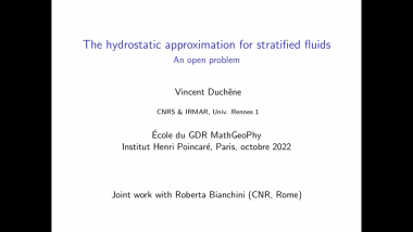 The hydrostatic approximation for stratified fluids - An open problem
