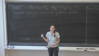 Moduli spaces as Irreducible Symplectic Varieties