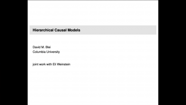 Hierarchical Causal Models