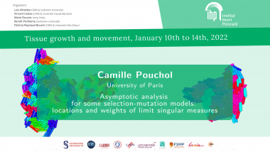 Asymptotic analysis for some selection-mutation models: locations and weights of limit singular measures