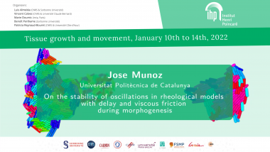 On the stability of oscillations in rheological models with delay and viscous friction during morphogenesis
