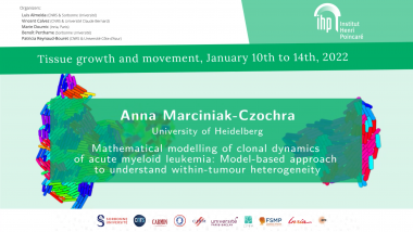Mathematical modelling of clonal dynamics of acute myeloid leukemia: Model-based approach to understand within-tumour heterogeneity
