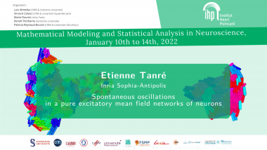 Spontaneous oscillations in a pure excitatory mean field networks of neurons