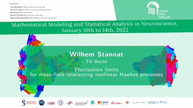 Fluctuation limits for mean-field interacting nonlinear Hawkes processes