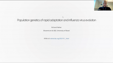 Population genetics of rapid adaptation and influenza virus evolution