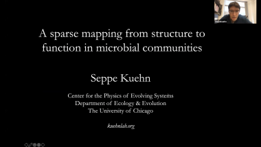 A sparse mapping from structure to function in microbial communities
