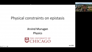 Physical constraints on epistasis