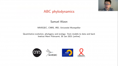 ABC phylodynamics