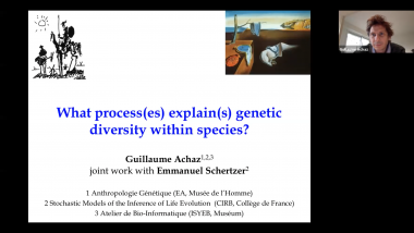 What process(es) explain(s) genetic diversity within species?