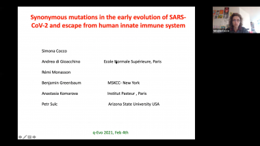 Synonymous mutations in the early evolution of SARS-CoV-2 and escape from human innate immune system
