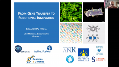 Gene flow, innovation and the invention of microbial functions