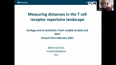 Capturing T cell receptor similarities