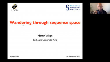 Wandering through sequence space