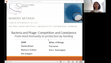 Bacteria and Phage: Competition and Coexistence
