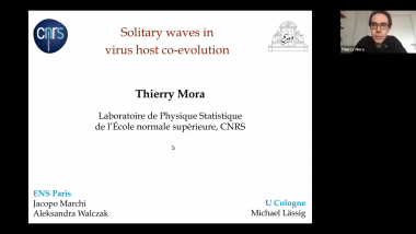 Solitary waves in virus-host co-evolution