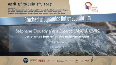 Les plantes font-elles des mathématiques ?