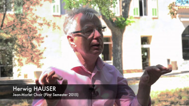Interview at CIRM: Herwig Hauser