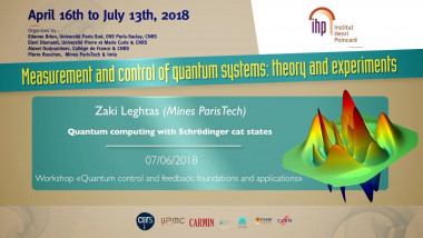 Quantum computing with Schrödinger cat states