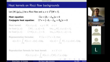 Compactness and partial regularity theory of Ricci flows in higher dimensions