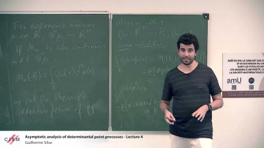 Asymptotic analysis of determinantal point processes.  (4/4)