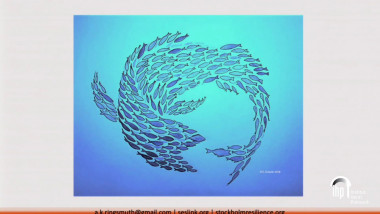 Making sense of cross-scale dynamics in social-ecological systems