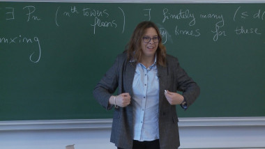 4/4 Chaotic Properties of Area Preserving Flows