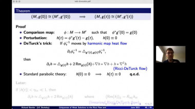 Uniqueness of Weak Solutions to the Ricci Flow and Topological Applications 2