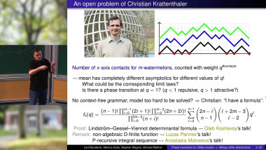 Phase Transitions and Mittag-Leffler Functions for Critical Schemes Under the Gibbs Model