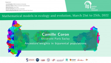 Ancestors' genetic weights in biparental populations