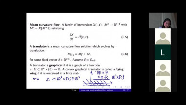 A family of 3d steady gradient Ricci solitons that are flying wings