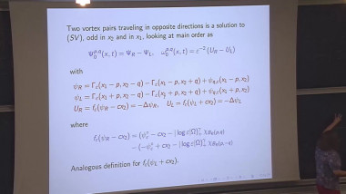 Long time behavior for vortex dynamics in the 2 dimensional Euler equations