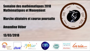 Marches aléatoires et course-poursuites