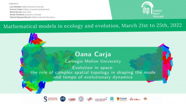 Evolution in space: the role of complex spatial topology in shaping the mode and tempo of evolutionary dynamics