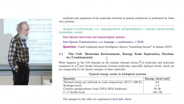 Generation, Transformation, Transmission, Memorization, Storage and Expression of Information From Cell to LLM : Signals, Structures, Knowledge and Learning (1/4)
